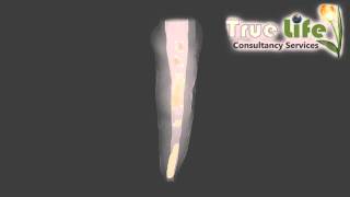 Blender 2.69 volumetric data plot