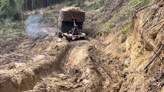 Xe độ 6 máy bò vàng chở gỗ bị mắc lầy #bòvàng6máyv