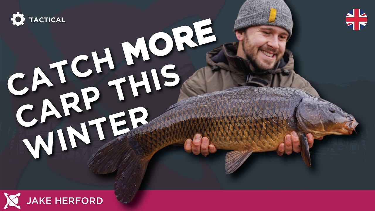 Catch MORE Carp in the Winter Months! Top Carp Fishing Tips! - MaxresDefault
