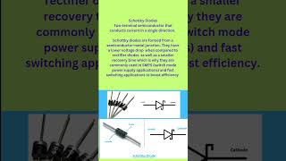 viral Schottky diode definition English #electronic #dmtech #education #component