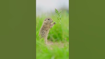 time for a break #nature #edit #hopecore