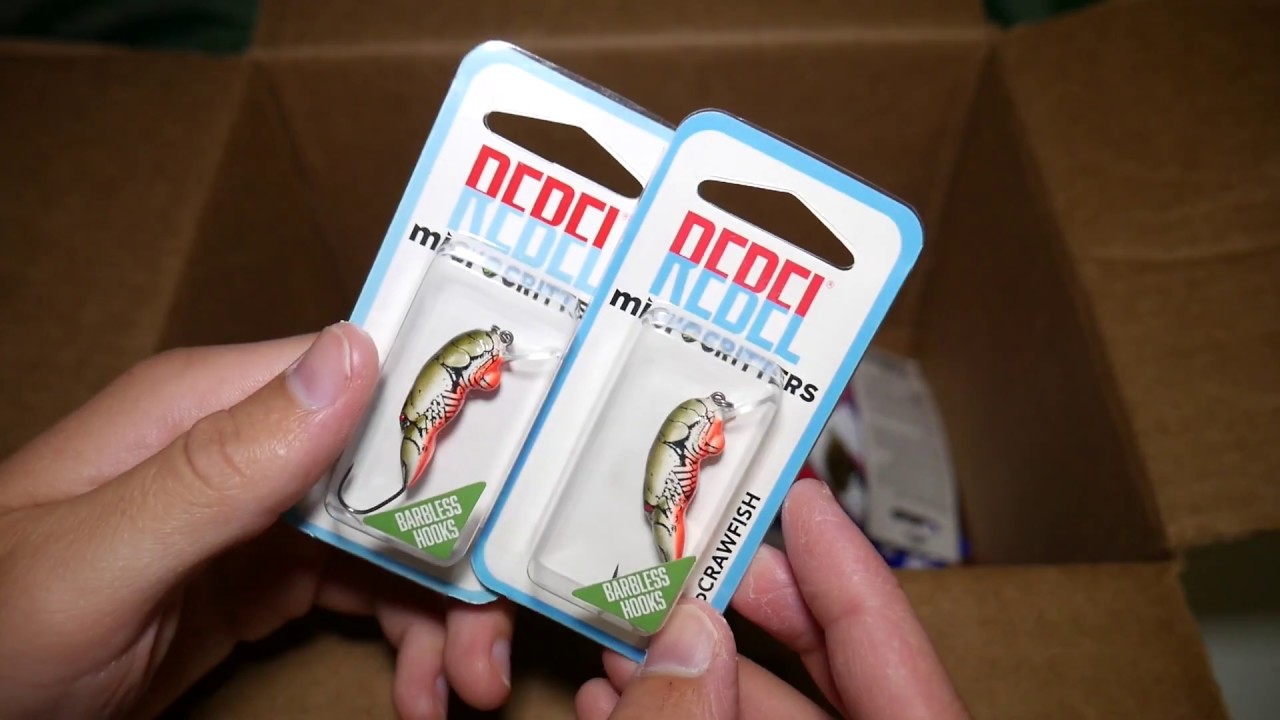 Unboxing SUPER CHEAP Fishing Lures! (How to Save Money) 