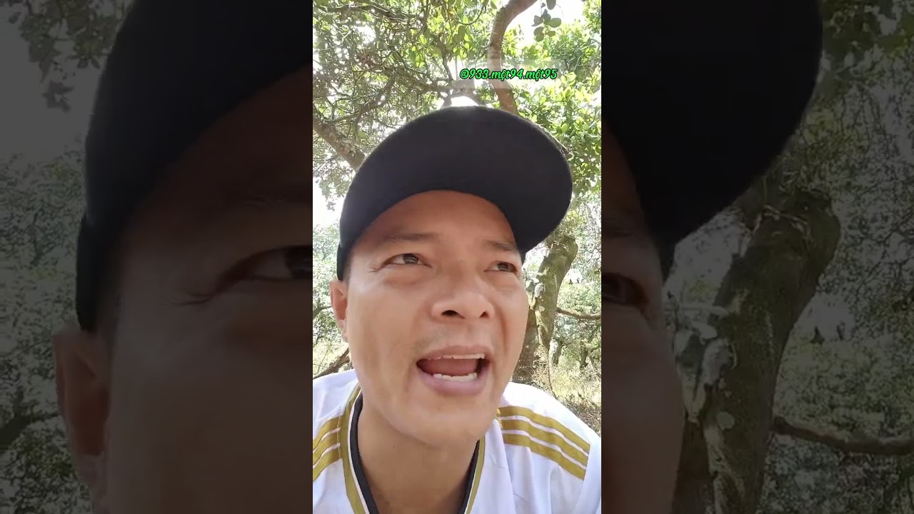 Phần 82: Bón Phân, Phun Thuốc trước Khi Vô Mùa Làm Bông Điều.