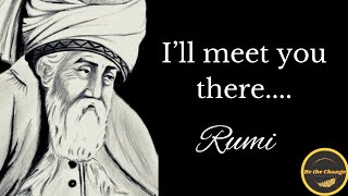 Rumi Poetry | Out beyond ideas of wrongdoing and rightdoing, there is a field. I’ll meet you there.
