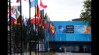 Un Vaste Scandale De Corruption Ébranle Lotan