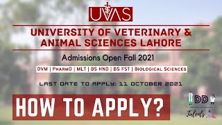 How to Apply? | UVAS | Lahore | Admissions Fall 2021