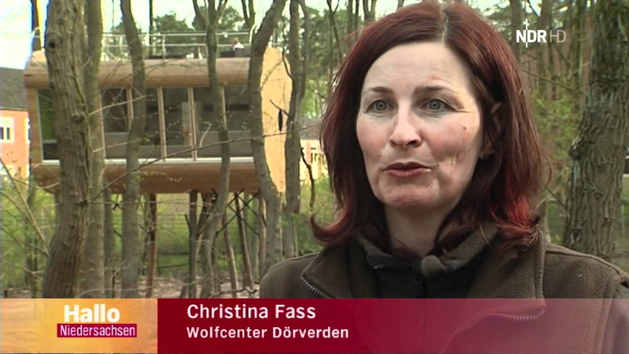 NDR Beitrag Baumhaushotel 'Tree Inn'
