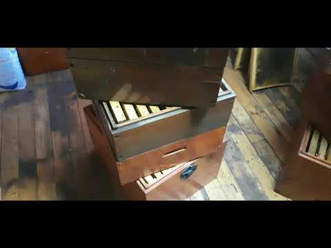 Зберігання суші без заморочок.