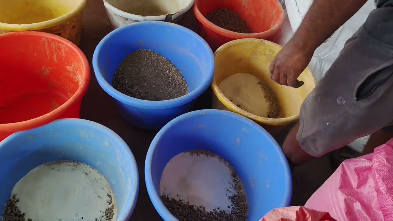 Cow Village food 😍