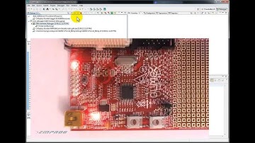 LPC1114 NXP Olimex kit support by Emprog ThunderBench