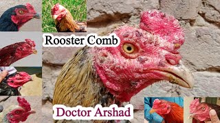 Rooster Comb Problems | Dr ARSHAD