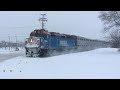 Snow-Filled Metra Horn thumbnail
