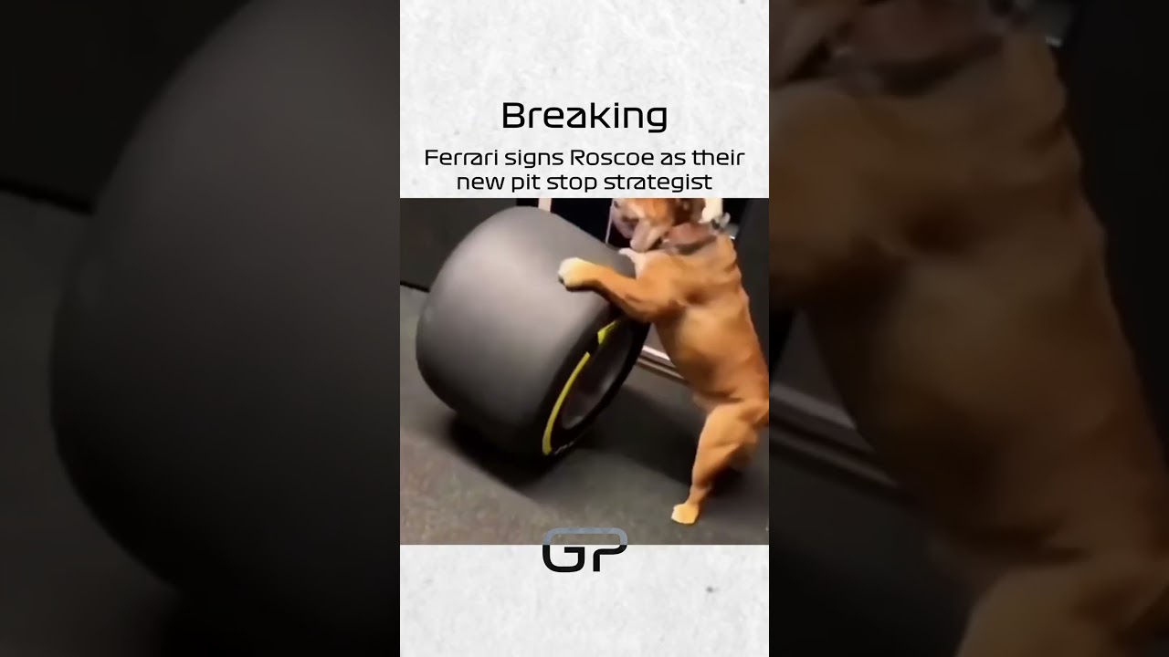 Is Ferrari's New Strategy Winning in F1?