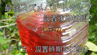スズメバチ捕獲器！！トラップの作り方・設置時期♪【日本蜜蜂