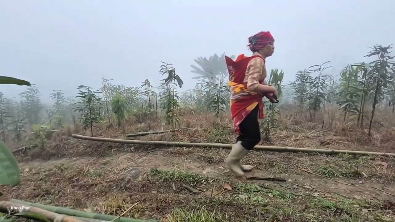 A single mother and her child went up the mountain to clear the bushes | @khoapao 