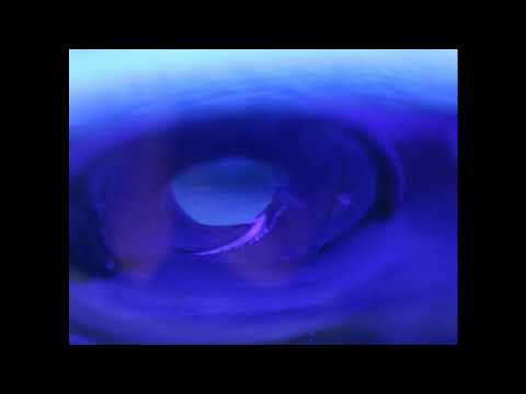 Christian Bloch – Dormant