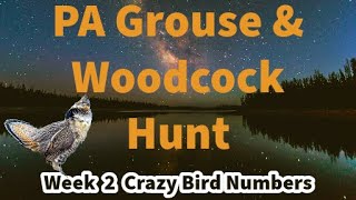 Pennsylvania Grouse and Woodcock Hunt