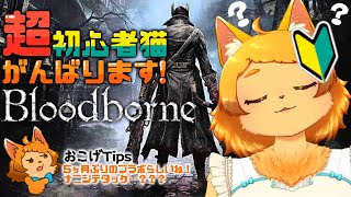 【Bloodborne】五か月ぶりのブラボ！散歩から始めるか～☀🐾【初見プレイ】