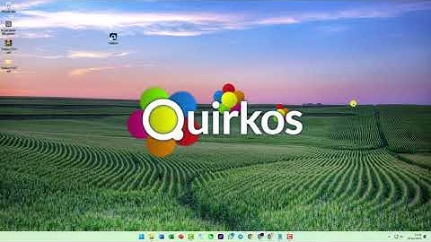 INSTALL QUIRKOS FULL WORK - qualitative analysis and coding