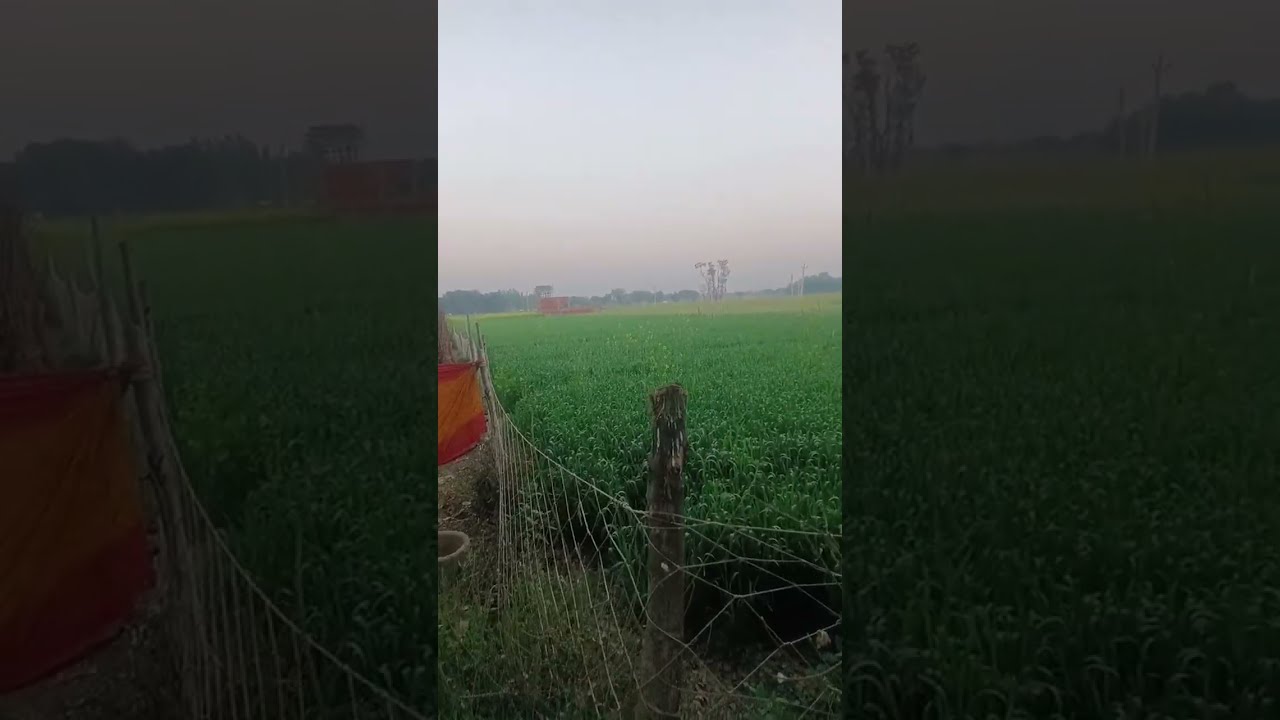 𝑹𝒂𝒌𝒆𝒔𝒉 𝑽𝒍𝒐𝒈 is live!