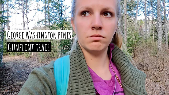 George Washington Pines Hike | #Gunflint Trail Grand Marais