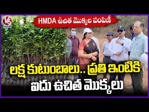 HMDA Officials Made All Arrangements For Free Saplings Distribution As Part Of