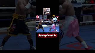 Anthony trebucio Trivia Boxing Story