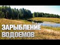 Зарыбляем два водоёма.