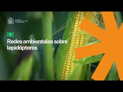 5. Redes ambientales sobre lepidópteros
