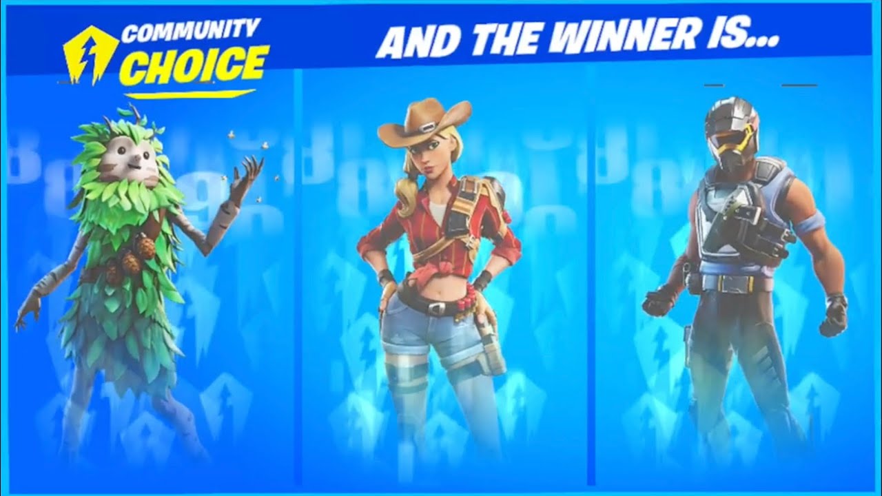 Fortnite 1 Min Skin Review (07/11/19) and the Community Choice winner is ...