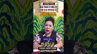 2025년운세 #2025년을사년쪽빡띠 #2025년조심할띠 호명합니다
