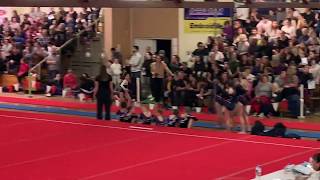 Esther Luk's Step 4 vault routine MIGS June 2019