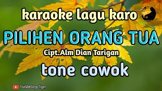PILIHEN ORANG TUA (karaoke) Cipt.Alm Dian Tarigan @Gorgo Tigan Channel #karaoke#lagukaro