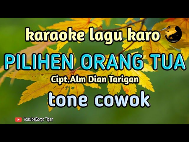PILIHEN ORANG TUA (karaoke) Cipt.Alm Dian Tarigan @Gorgo Tigan Channel #karaoke#lagukaro class=