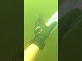 Scuba Tank Air Gun! (Scuba Diving)
