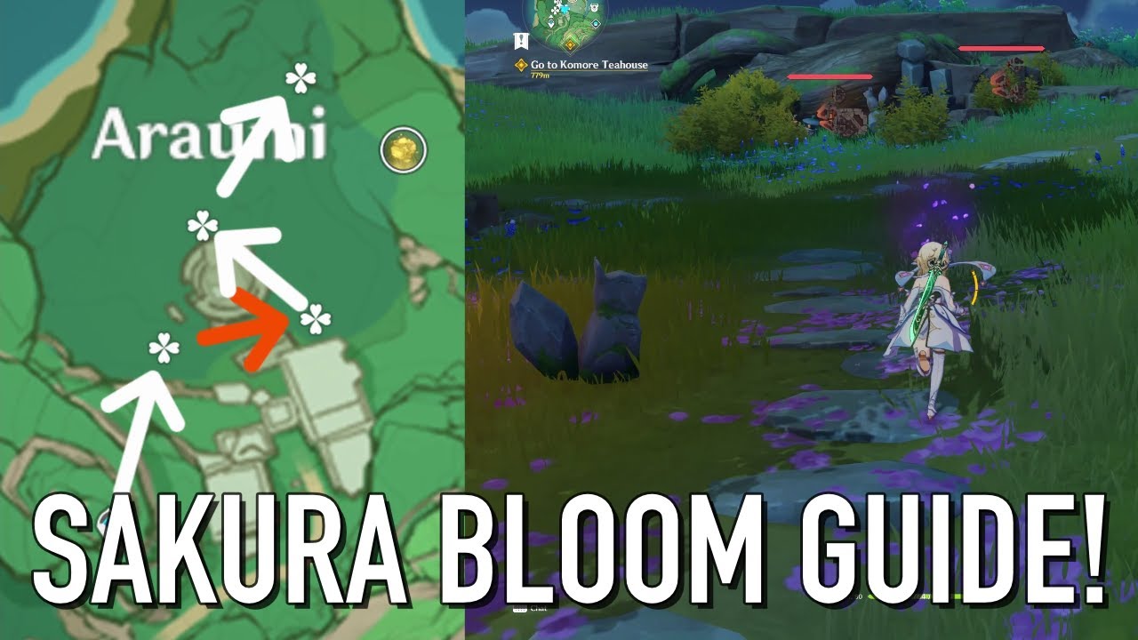 How to Pick Up Sakura Blooms [Genshin Impact 2.0]