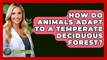 How Do Animals Adapt To A Temperate Deciduous Forest? - Earth Science Answers