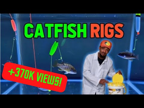 Catfish Rigs! 