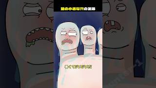 足の小さな穴の正体?