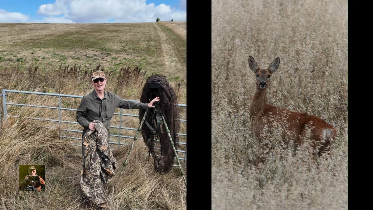 Outdoor Photography Gear Bag hide review on "Camilla & I"