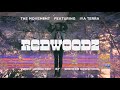 The movement  redwoodz feat iya terra official music