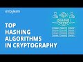Essential Hashing Algorithms in Cryptography: MD5 & SHA-256 Explained 🔐
