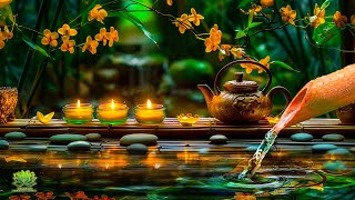 Relaxing Zen Music with Nature Sounds for Meditation, Spa, Sleep and Healing the Mind, Water Sounds.