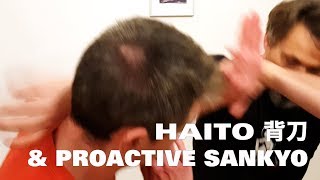 PROACTIVE SANKYO and HAITŌ (背刀) by Konstantin Rekk - kyusho &  budo okuden study group Berlin
