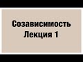 СОЗАВИСИМОСТЬ 1 ЛЕКЦИЯ