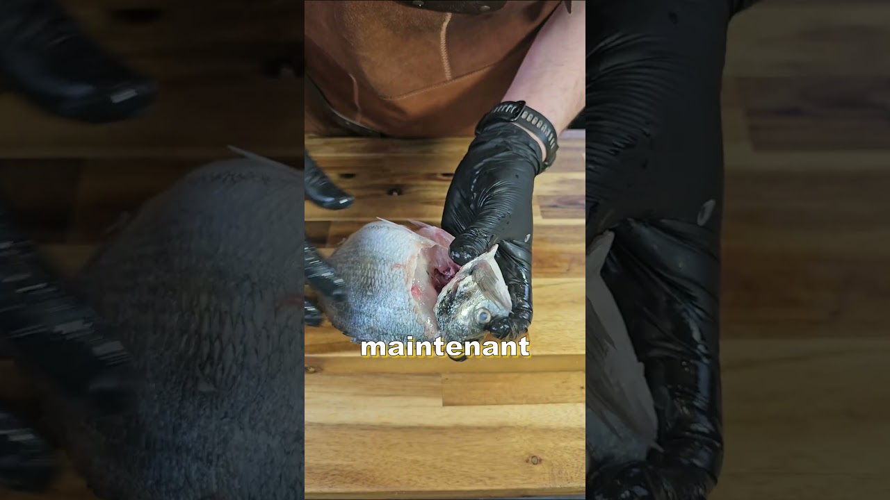 Comment lever des filets de dorade royale comme un chef ! 🐟🔪