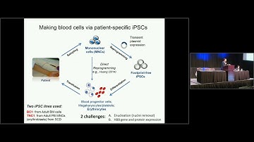 Genome Editing in Human Stem Cells for Blood Disease Modeling and Treatment - Linzhao Cheng