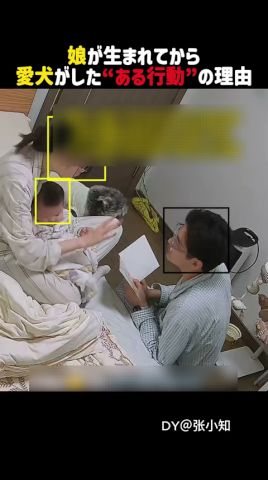 娘が生まれてから愛犬が変わりました