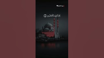 #سورة_المعارج | إِنَّ الْإِنسَانَ خُلِقَ هَلُوعًا || #قران_كريم #قرآن #المصحف #شورت #اكسبلور