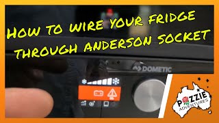 Transforming Your Fridge Power Connection: Upgrading From 12 Pin Trailer Plug To Anderson Socket